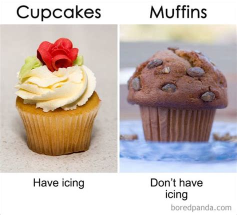 things that are similar to conviced